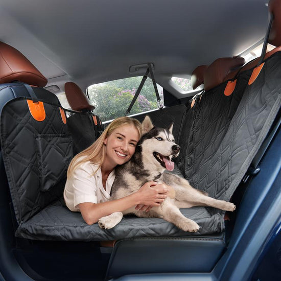 Dog Seat Cover with Hard Bottom for Car